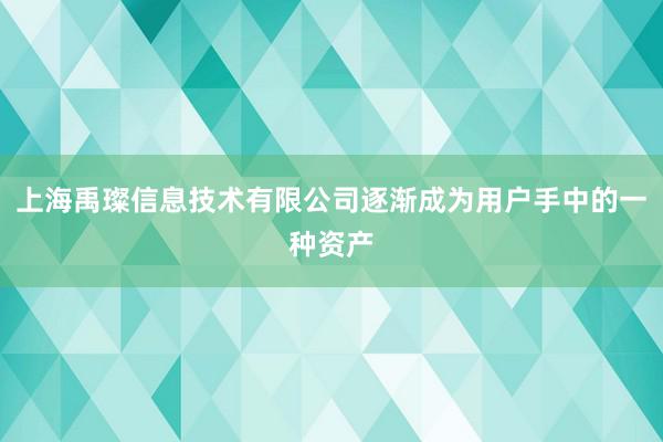 上海禹璨信息技术有限公司逐渐成为用户手中的一种资产
