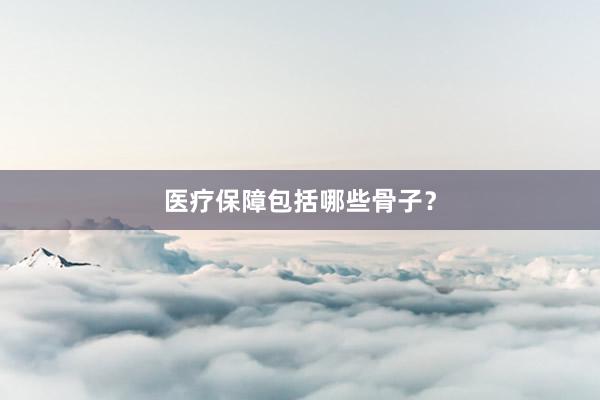 医疗保障包括哪些骨子？