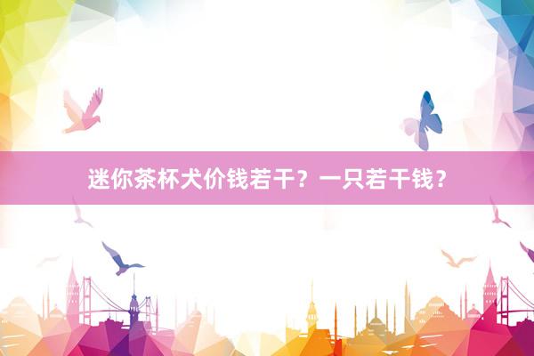 迷你茶杯犬价钱若干?一只若干钱?